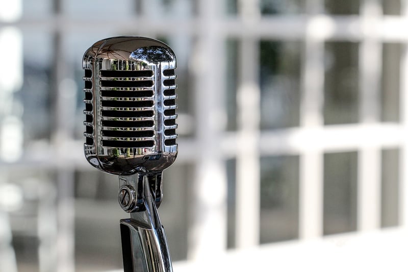 Microphone for music industry
